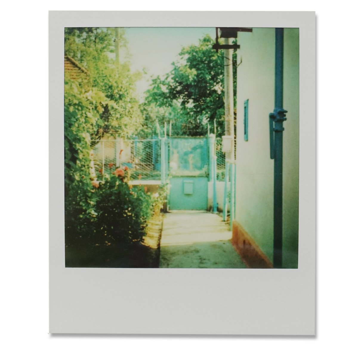 Gartentor Polaroid